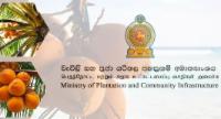250 “Ceylon King Coconut Villages” Launched